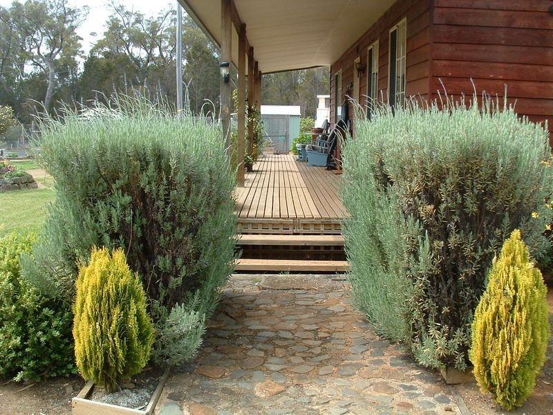 719 Old Coach Road, Swansea TAS 7190