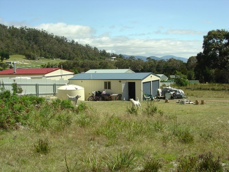8 Wallace Avenue, Bicheno TAS 7215