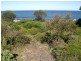 315 Harveys Farm Road, Bicheno TAS 7215