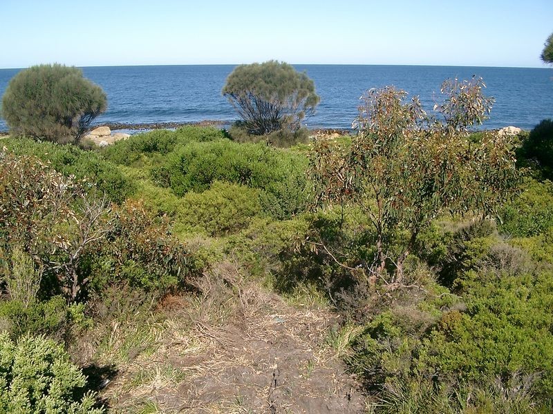 315 Harveys Farm Road, Bicheno TAS 7215