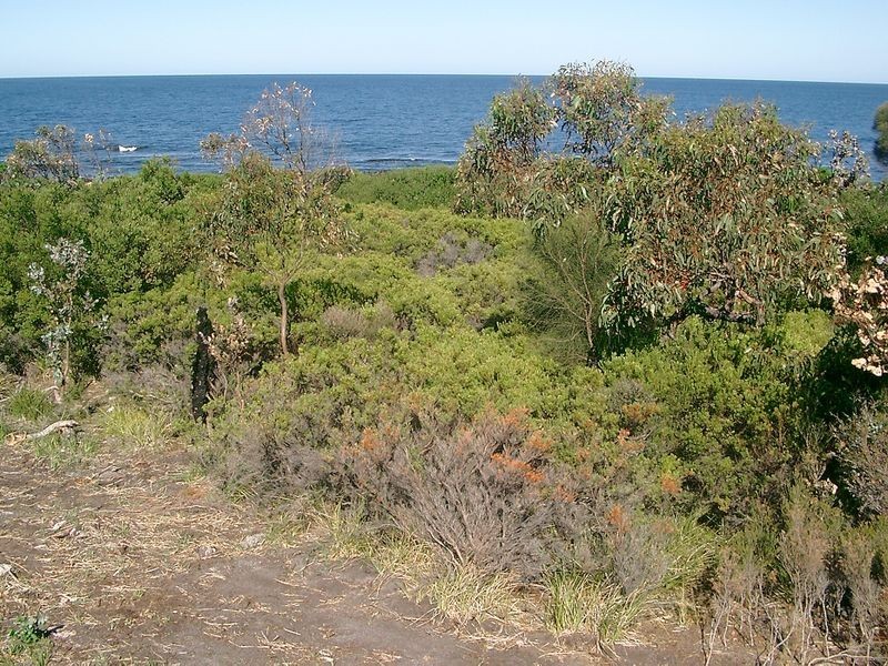 315 Harveys Farm Road, Bicheno TAS 7215