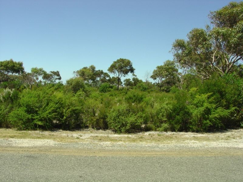 315 Harveys Farm Road, Bicheno TAS 7215