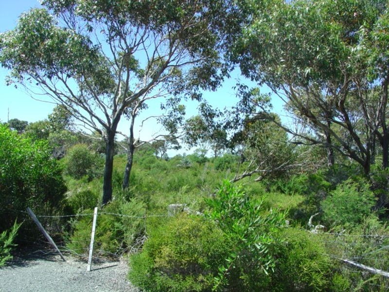 315 Harveys Farm Road, Bicheno TAS 7215