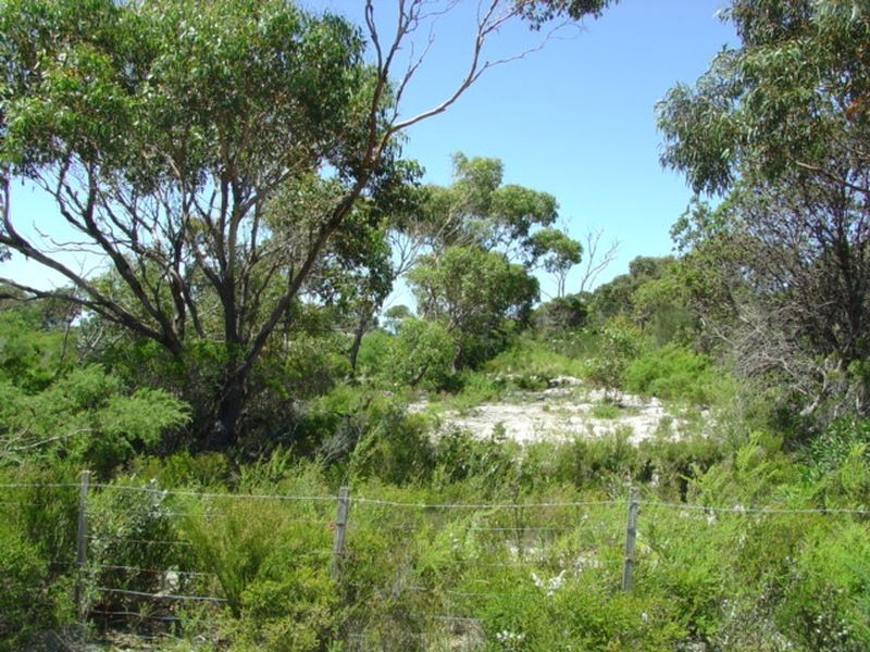 315 Harveys Farm Road, Bicheno TAS 7215