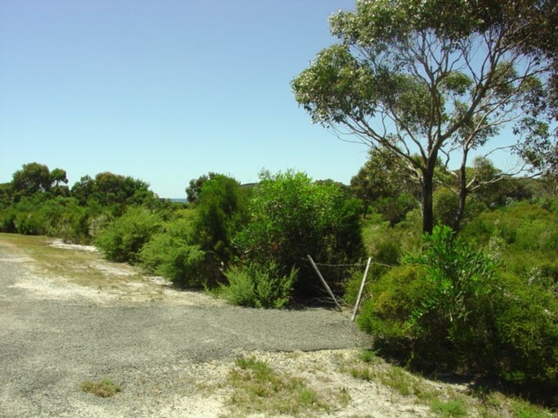 315 Harveys Farm Road, Bicheno TAS 7215