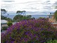 10 Weily Avenue, Bicheno TAS 7215