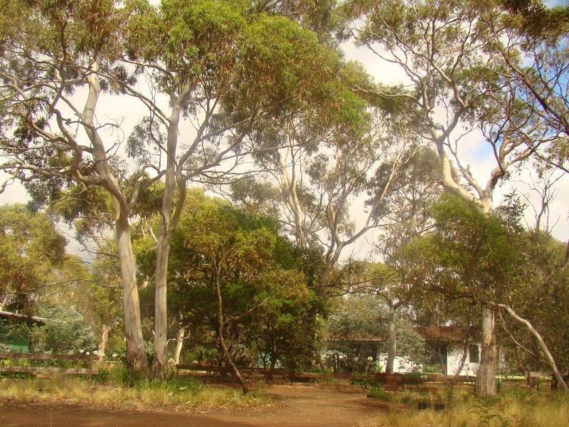 455 Dolphin Sands Road, Dolphin Sands TAS 7190