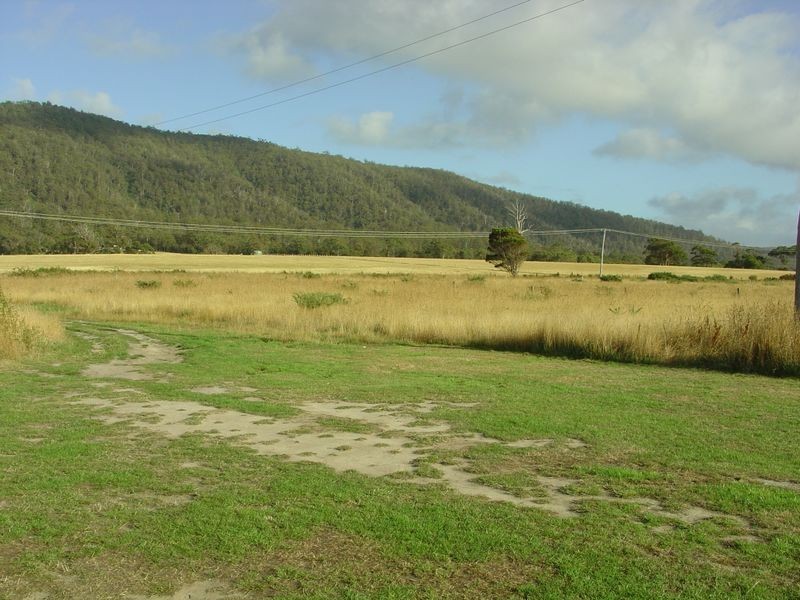 19560 Tasman Highway, Seymour TAS 7215