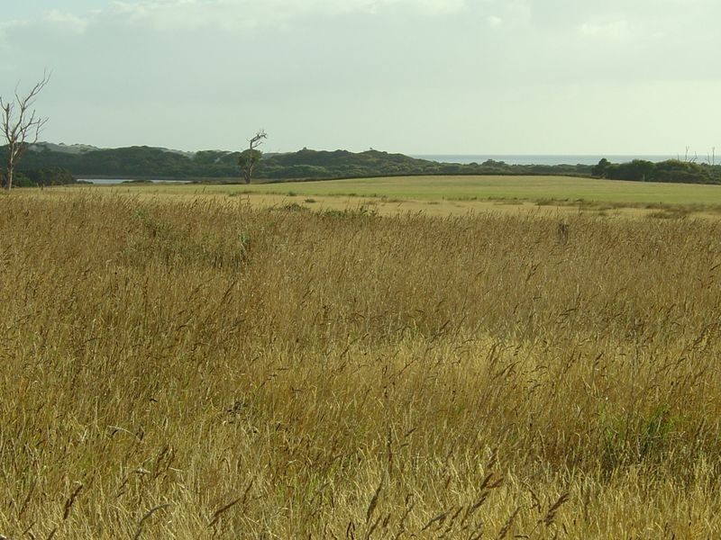 19560 Tasman Highway, Seymour TAS 7215