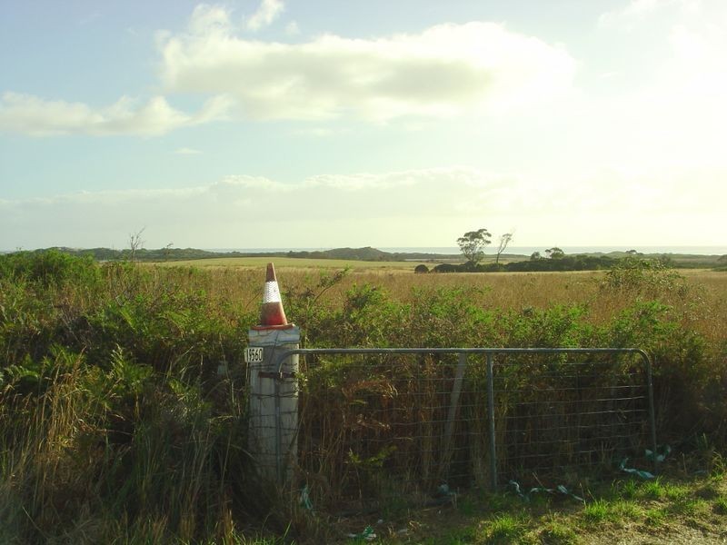 19560 Tasman Highway, Seymour TAS 7215