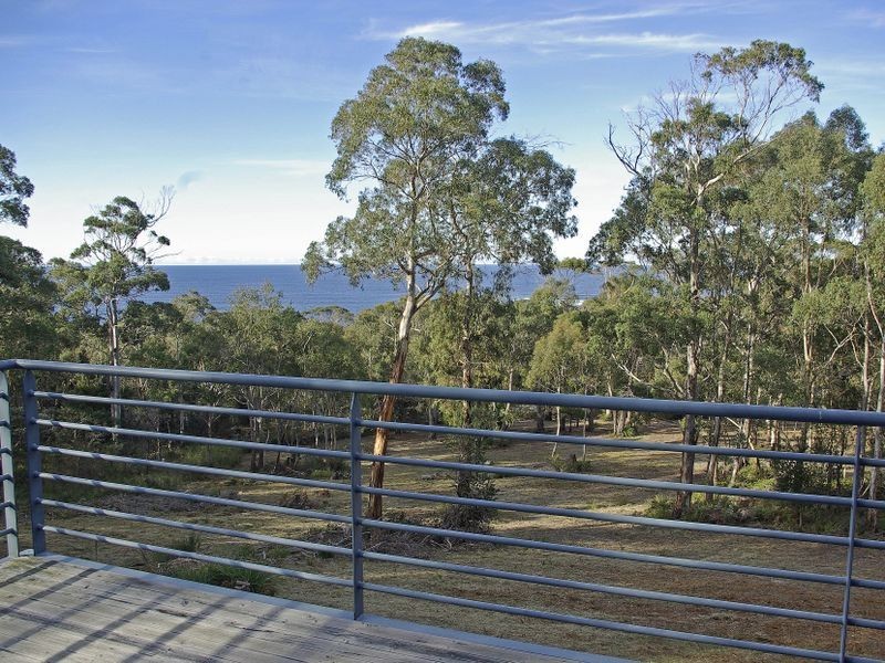 232 Harveys Farm Road, Bicheno TAS 7215