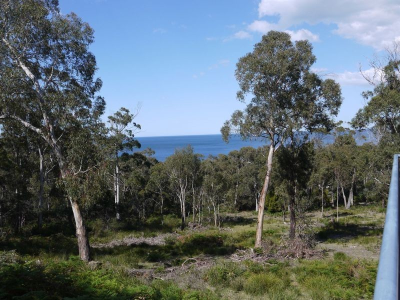 232 Harveys Farm Road, Bicheno TAS 7215
