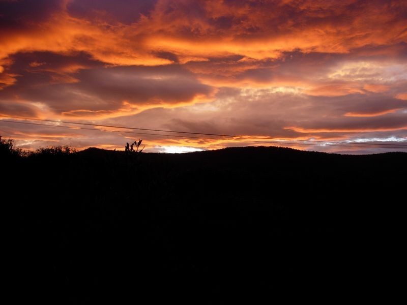 Lot 5 Tasman Highway, Douglas River TAS 7215