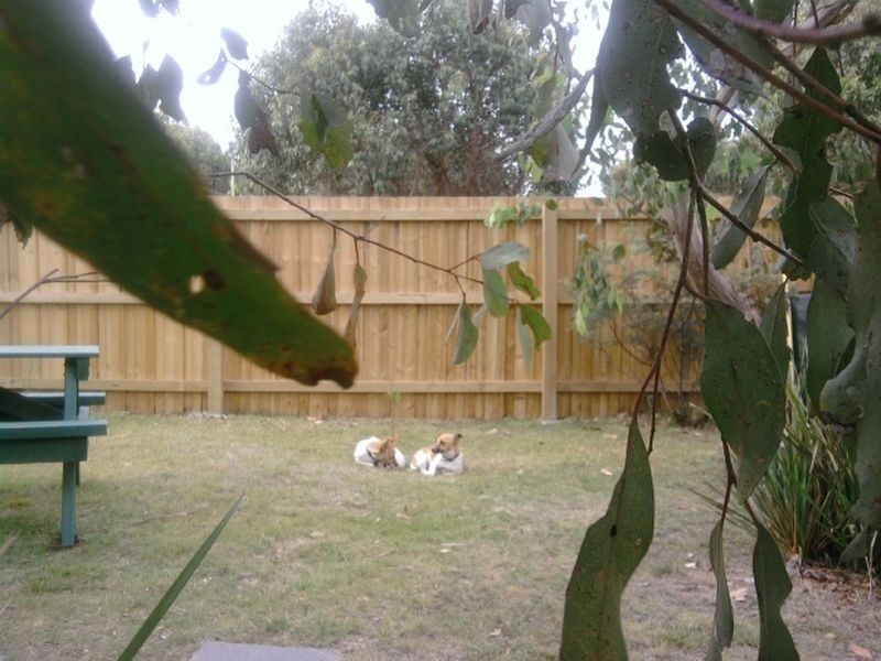 Lot 5 Tasman Highway, Douglas River TAS 7215