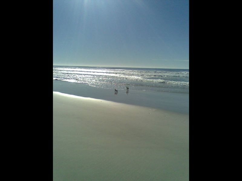 Lot 5 Tasman Highway, Douglas River TAS 7215