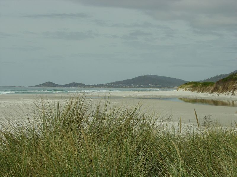 Lot 5 Tasman Highway, Douglas River TAS 7215