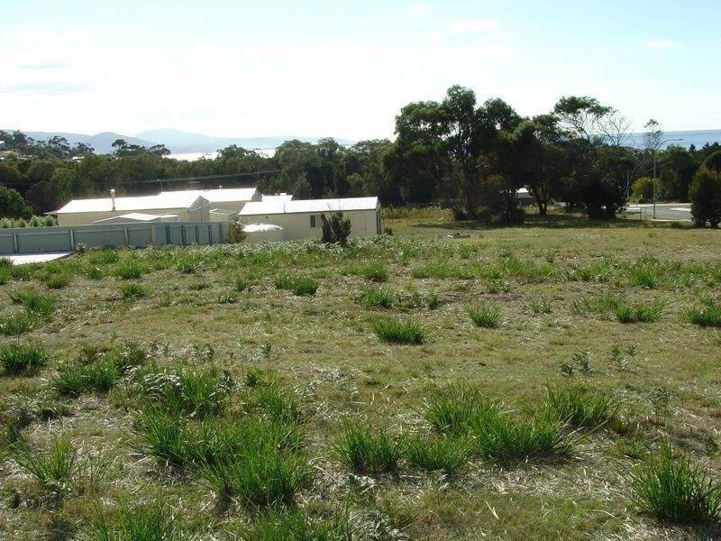 12 Wallace Avenue, Bicheno TAS 7215