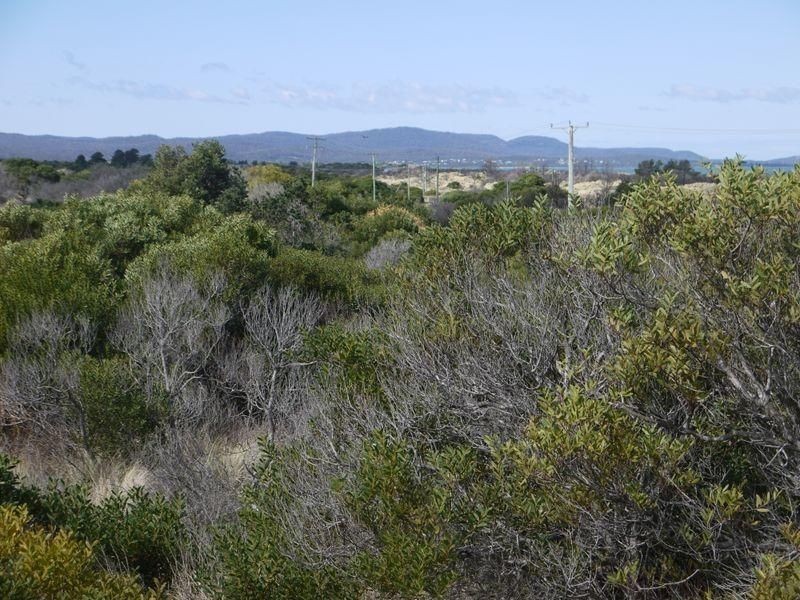 Lot 98 Dolphin Sands Road, Dolphin Sands TAS 7190