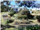 103 Swanwick Drive, Coles Bay TAS 7215