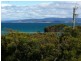 103 Swanwick Drive, Coles Bay TAS 7215