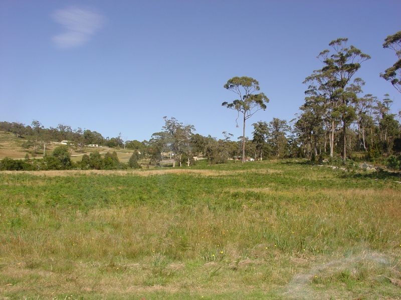 RA 50 Harveys Farm Road, Bicheno TAS 7215