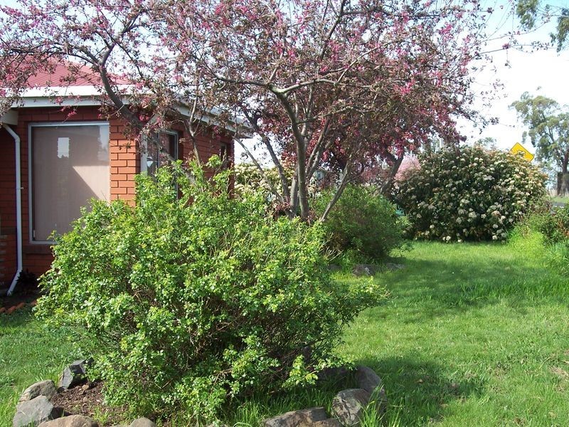 14886 Tasman Highway, Cranbrook TAS 7190