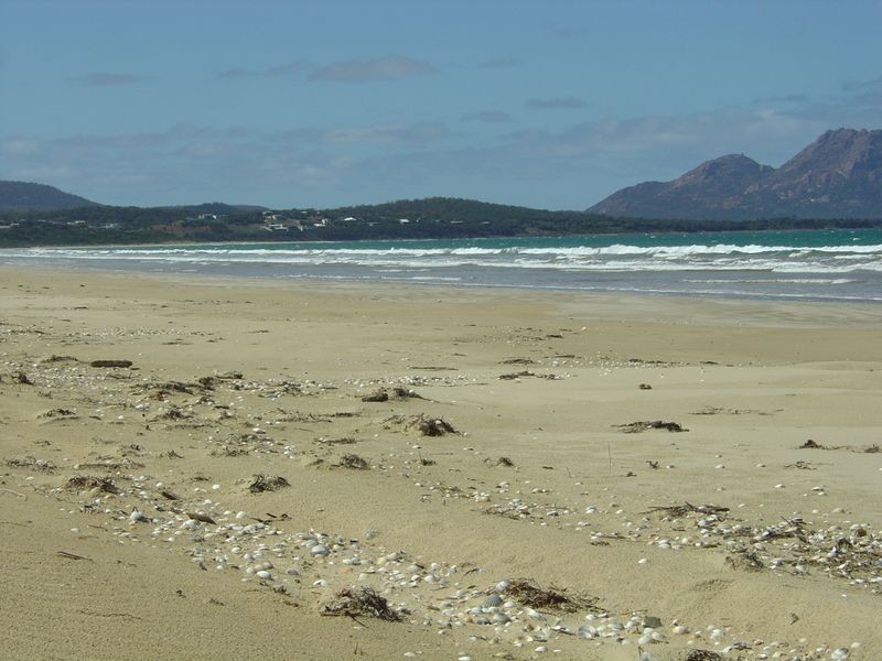Lot 182 Dolphin Sands Road, Dolphin Sands TAS 7190