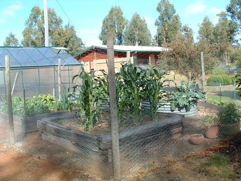 719 Old Coach Road, Swansea TAS 7190