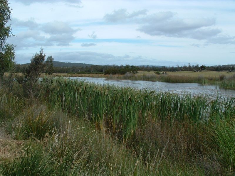 719 Old Coach Road, Swansea TAS 7190