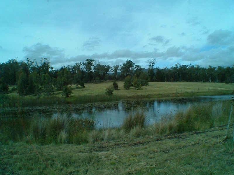 719 Old Coach Road, Swansea TAS 7190