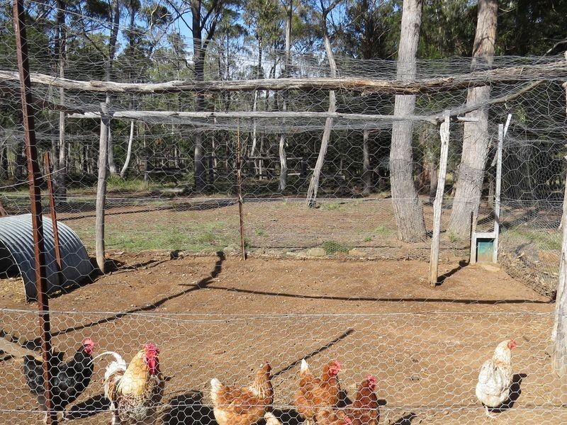 719 Old Coach Road, Swansea TAS 7190