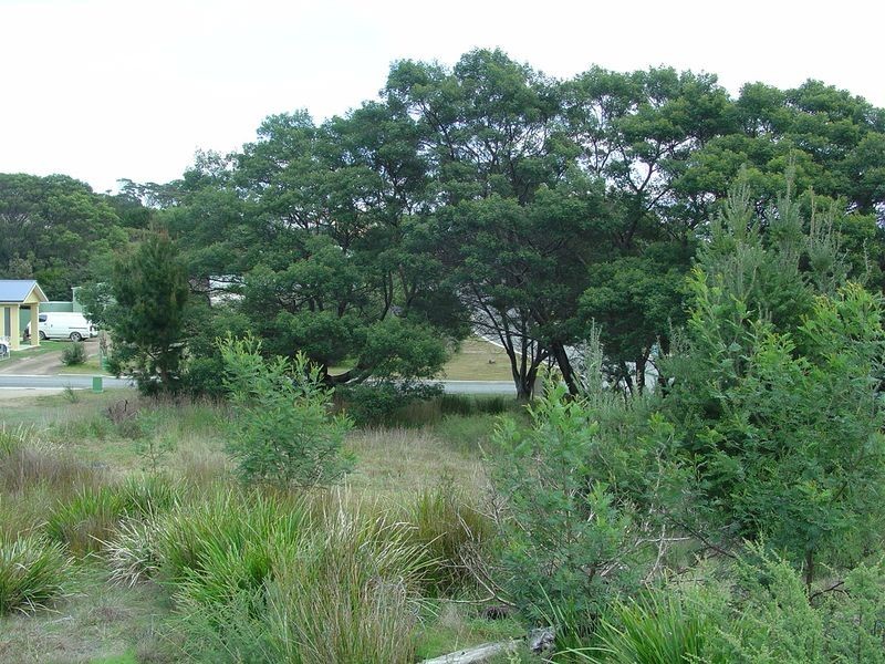 19 Muirs Place, Coles Bay TAS 7215