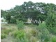 19 Muirs Place, Coles Bay TAS 7215