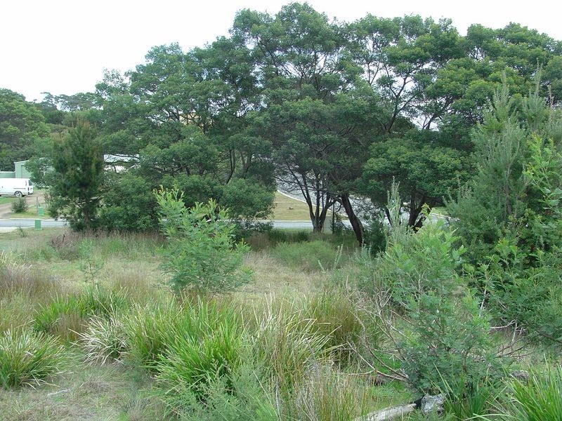 19 Muirs Place, Coles Bay TAS 7215