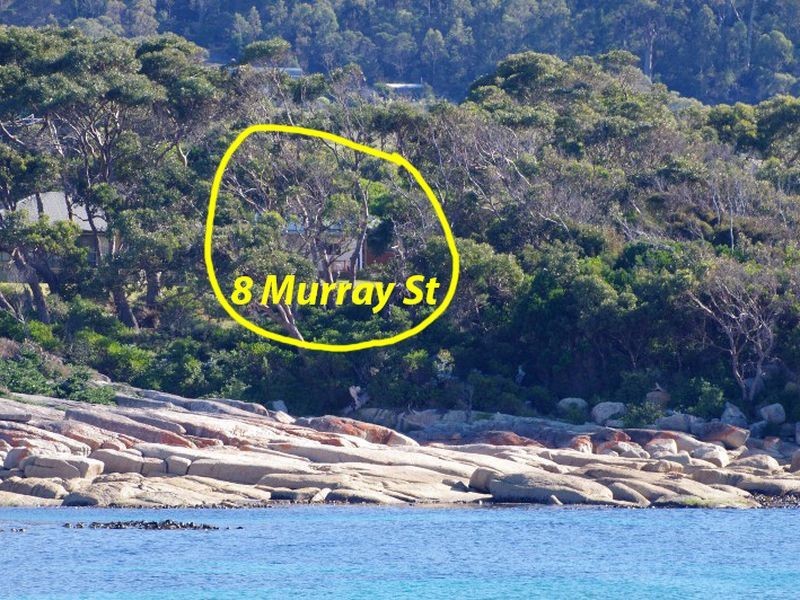 8 Murray Street, Bicheno TAS 7215