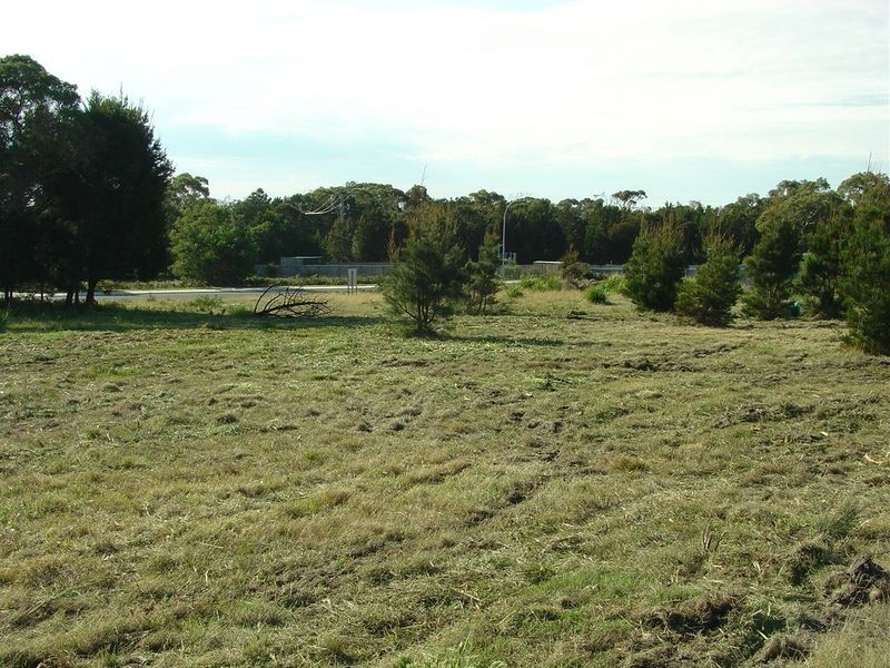 3 Wallace Avenue, Bicheno TAS 7215