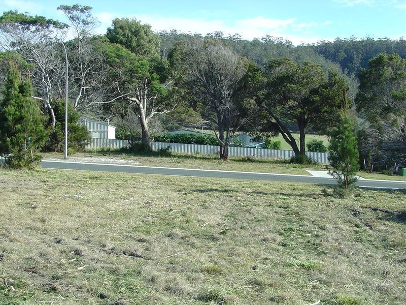 3 Wallace Avenue, Bicheno TAS 7215