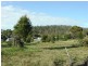 3 Wallace Avenue, Bicheno TAS 7215