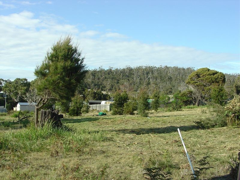 3 Wallace Avenue, Bicheno TAS 7215