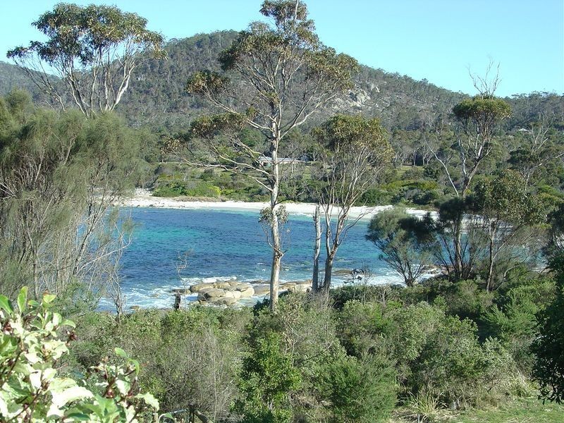 43 Harveys Farm Rd, Bicheno TAS 7215