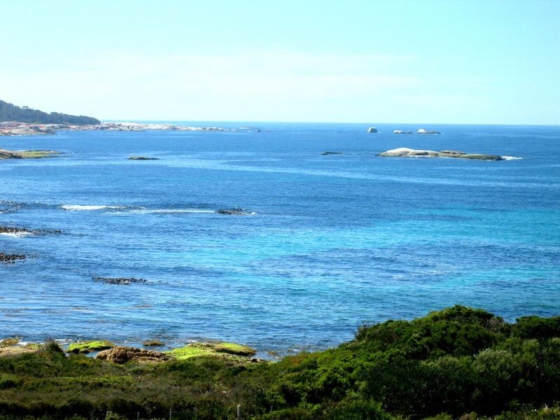 141 Harveys Farm Road, Bicheno TAS 7215