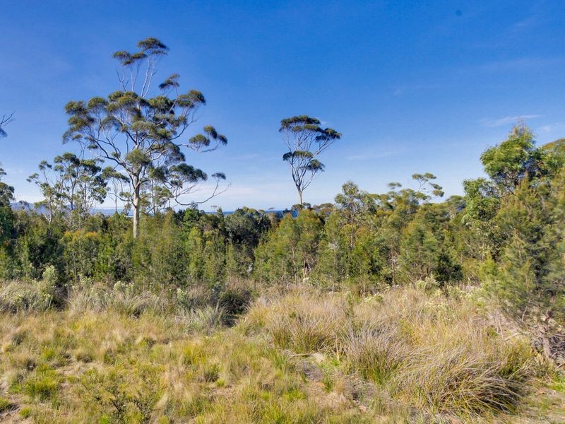 22 Rosedale Road, Bicheno TAS 7215