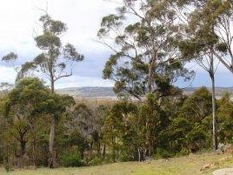 10501 Tasman Highway, Little Swanport TAS 7190