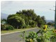 46 Gordon Street, Bicheno TAS 7215