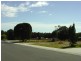 6 Wallace Avenue, Bicheno TAS 7215