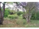 20 Oyster Bay Court, Coles Bay TAS 7215