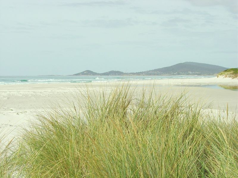 3/ Tasman Highway, Douglas River TAS 7215