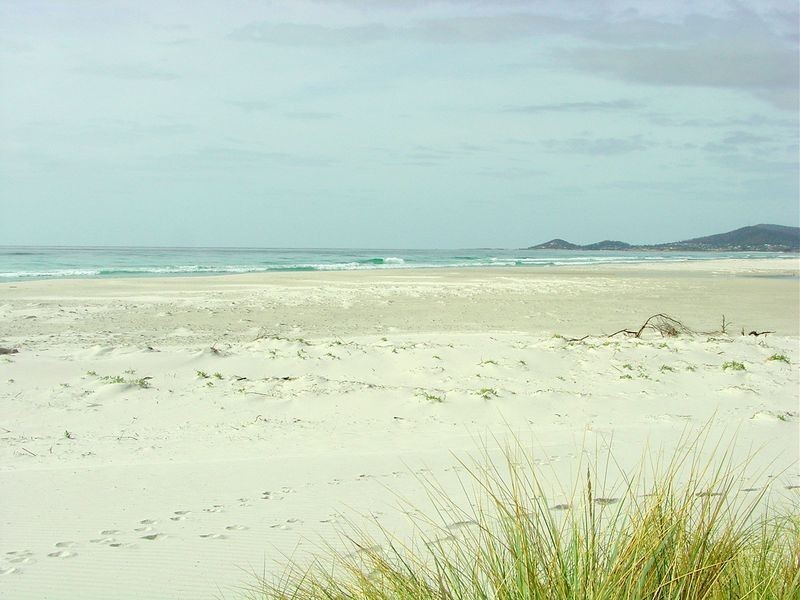 3/ Tasman Highway, Douglas River TAS 7215