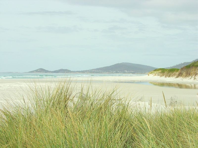 3/ Tasman Highway, Douglas River TAS 7215