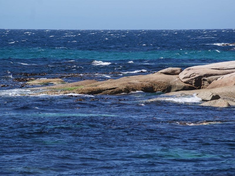 3/65 Harveys Farm Road, Bicheno TAS 7215